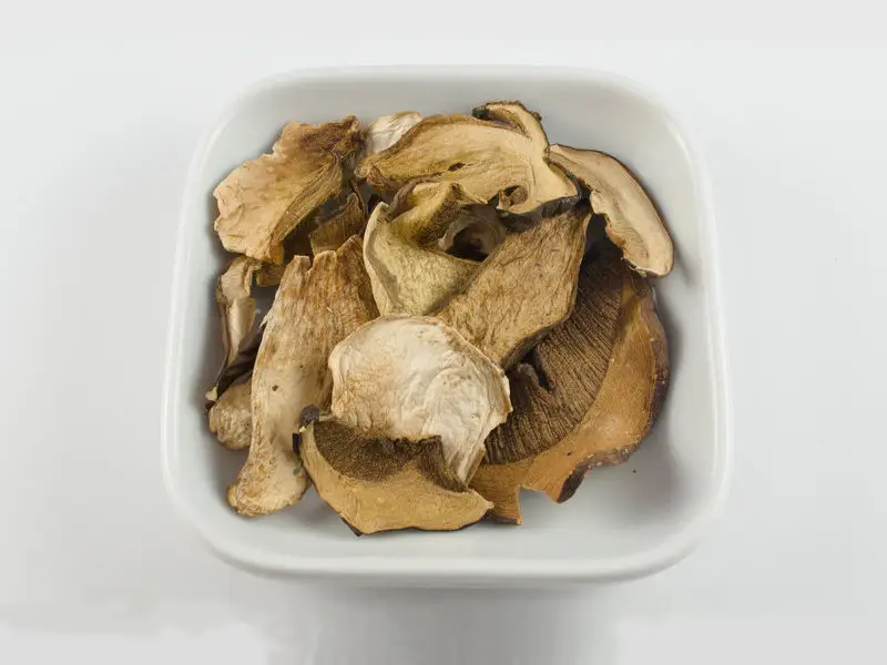 Směs hřibovitých hub